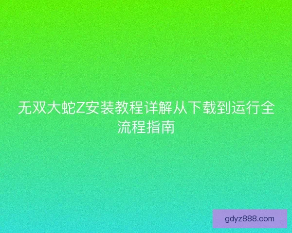 无双大蛇Z安装教程详解从下载到运行全流程指南